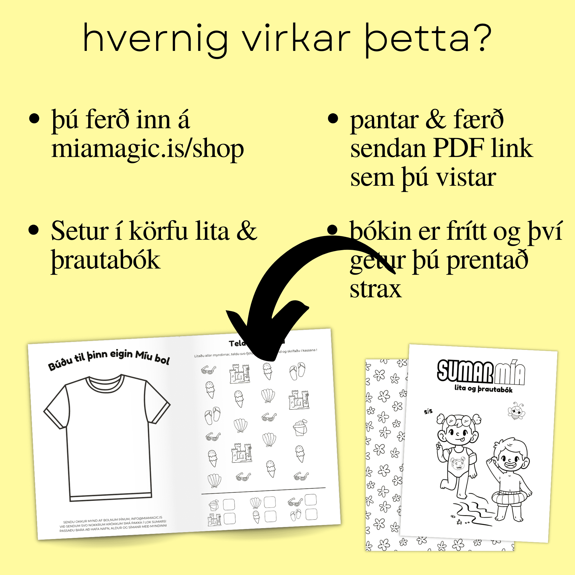 Sumar | Lita & þrautabók nr.3 - Image 6