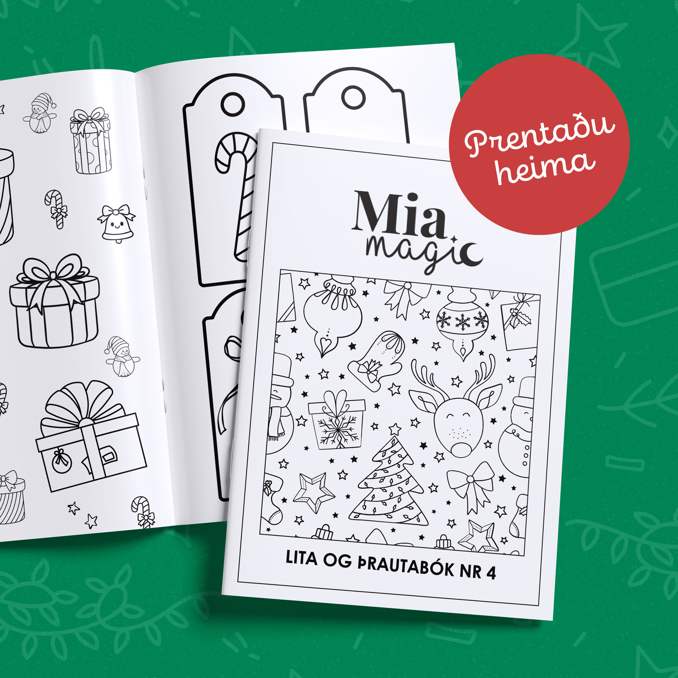 Jól | Lita & þrautabók nr.4